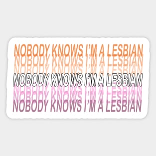 NOBODY KNOWS I'M A LESBIAN Sticker